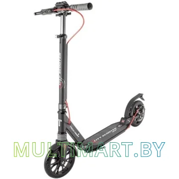 Самокат Tech Team City Scooter Disk Brake 2020 (черный/серый)